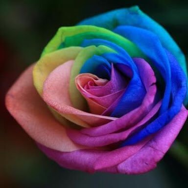 znTZuHuCPCS75lS's profile picture. 