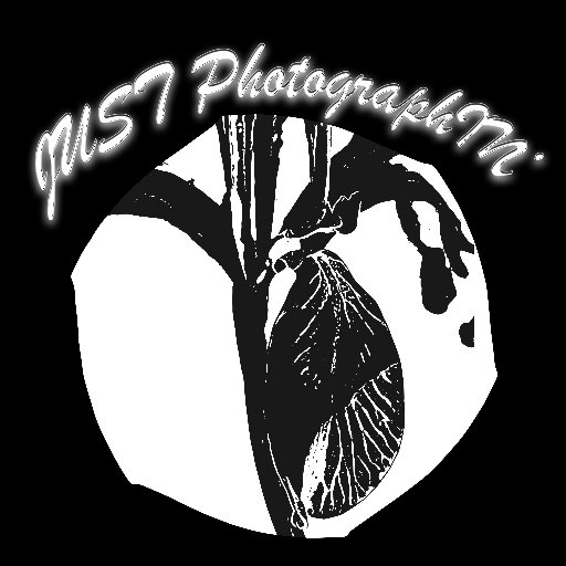 justphotographn Profile Picture