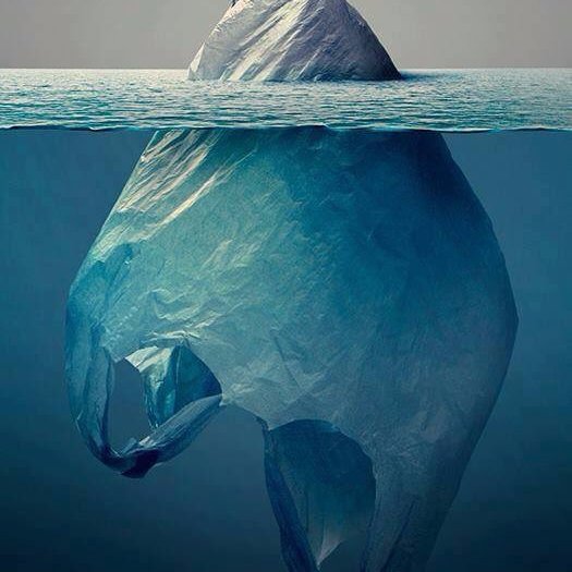 SiamoApposto's profile picture. Odio la faziosità di qualsiasi colore