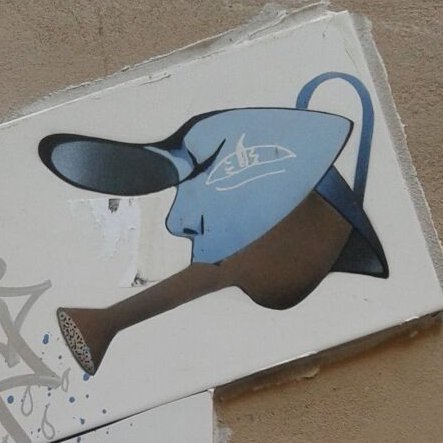 xantalcr's profile picture. 