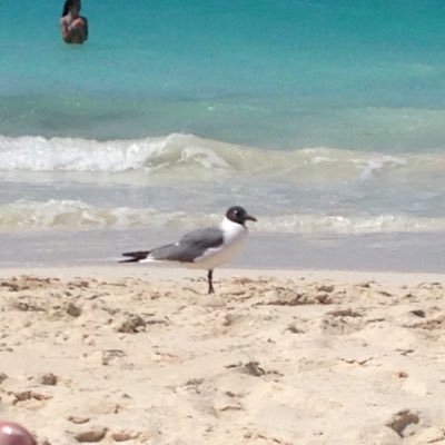 Rgdp4's profile picture. 