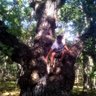 FeroxAdvisors's profile picture. Founder of SRTG, FRX, Director of Ferox Advisors Ltd. 
Derivatives Trader, Absolute Returns, Crypto Assets, 
Options & Futures. Extreme Sports