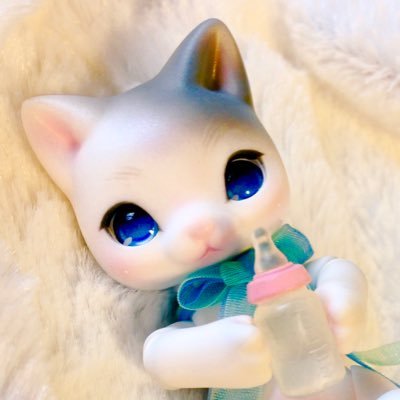 ちよ@ねこのみみたぶさんのプロフィール画像