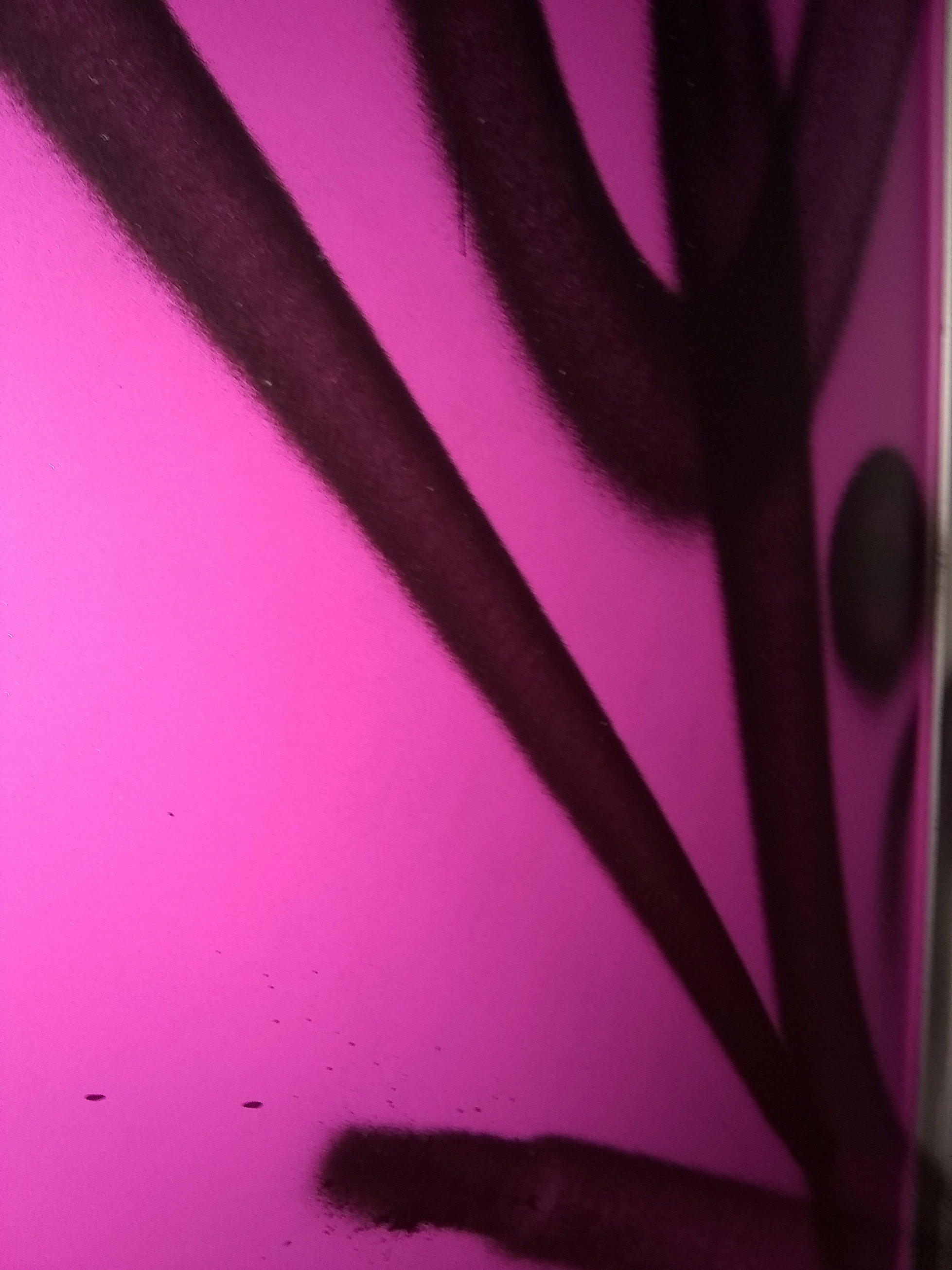 DennisAlanjack2's profile picture. 