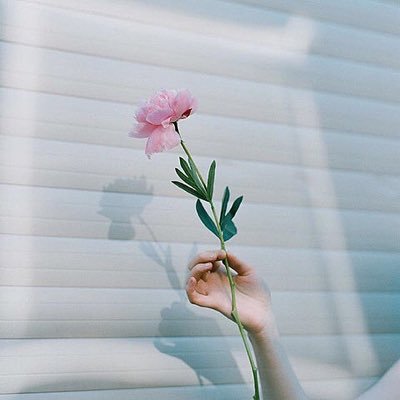 LooveMaimelo's profile picture. 