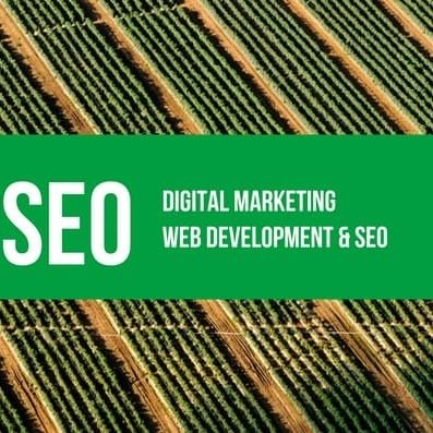 Digital marketing, website development & seo analyst.
