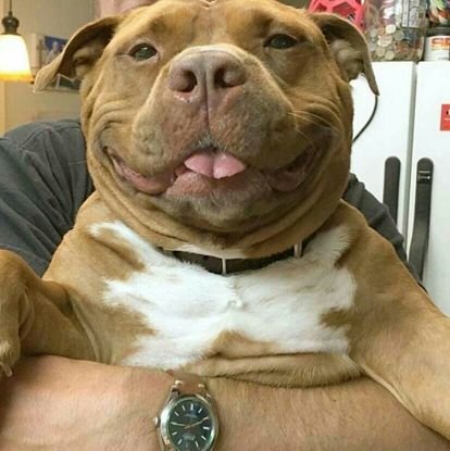 Bophelo28060727's profile picture. Bophelo