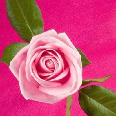 ( وقُل ربي أنزلني مُنزَلاََ مُباركاََ وَ أَنتَ خَيْرُ الْمُنزِلينَ) عام الثراء وتحقق