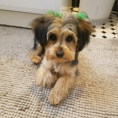 1994Pickens's profile picture. 