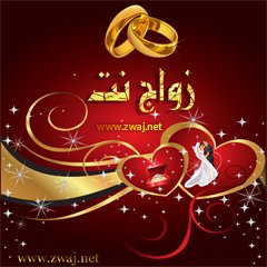 موقع زواج نت على تويتر جاري تصميم و تحديث و تطوير برمجة موقع زواج نت انتظرونا قريبا باذن الله Zwaj