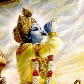 vamsisaee's profile picture. 