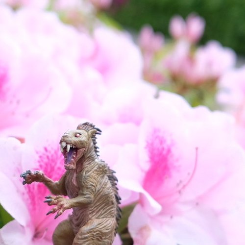 oyonesun's profile picture. 映像製作会社で色々がんばるマン☀🐺
 ここでつぶやく内容は個人の意見であり会社としての意向ではないです。