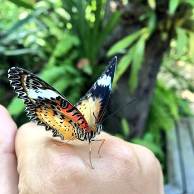 cookiehum's profile picture. 