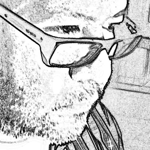 4nt0n10ru1z's profile picture. Innovation, Technology, Marketing, Design