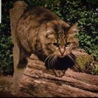 oiila09's profile picture. 