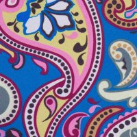 Paisley Gallagher Tribe (@pgsubtribute) 's Twitter Profile