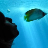 Mu 🌊 (@mulariul) 's Twitter Profile Photo