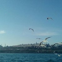 Serhat Koca (@serhatkocadr) 's Twitter Profile
