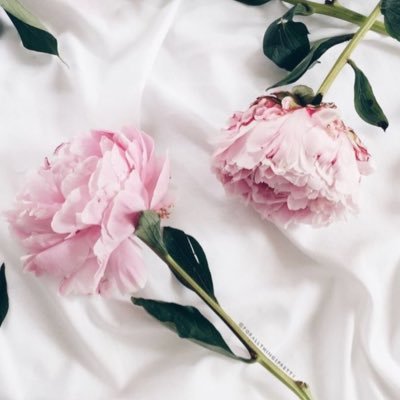 عائلتي دائماً بين الودائع.. بين اللهمّ و آمينْ 💜🌷