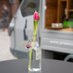 Prosecco Trucks (@proseccotrucks) Twitter profile photo Prosecco Trucks (@proseccotrucks) Twitter profile photo