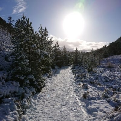 Weather and Photography.
Volunteer Controller for Charity @SERVKent