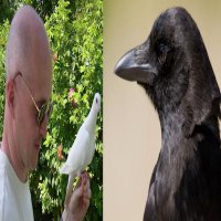 Prof Bob Davis (@rokewood) 's Twitter Profile Photo Prof Bob Davis (@rokewood) 's Twitter Profile Photo
