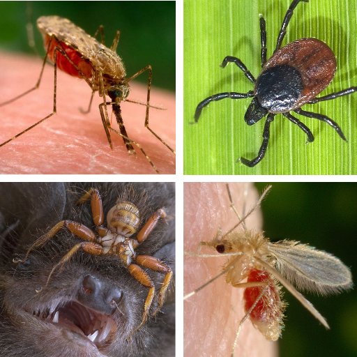 Science bulletin on bloodsucking arthropod vectors: flies,ticks,mosquitoes,mites,fleas,lice spreading dengue,malaria,WNV,Lyme,Rickettsia,Babesia,Bartonella  -MF