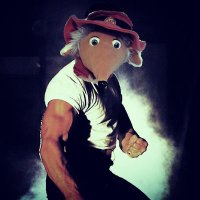 Womble Resistance(@sw19resistance) 's Twitter Profile Photo