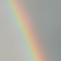 @wajeytweeter.com (@wajeytweeter) 's Twitter Profile