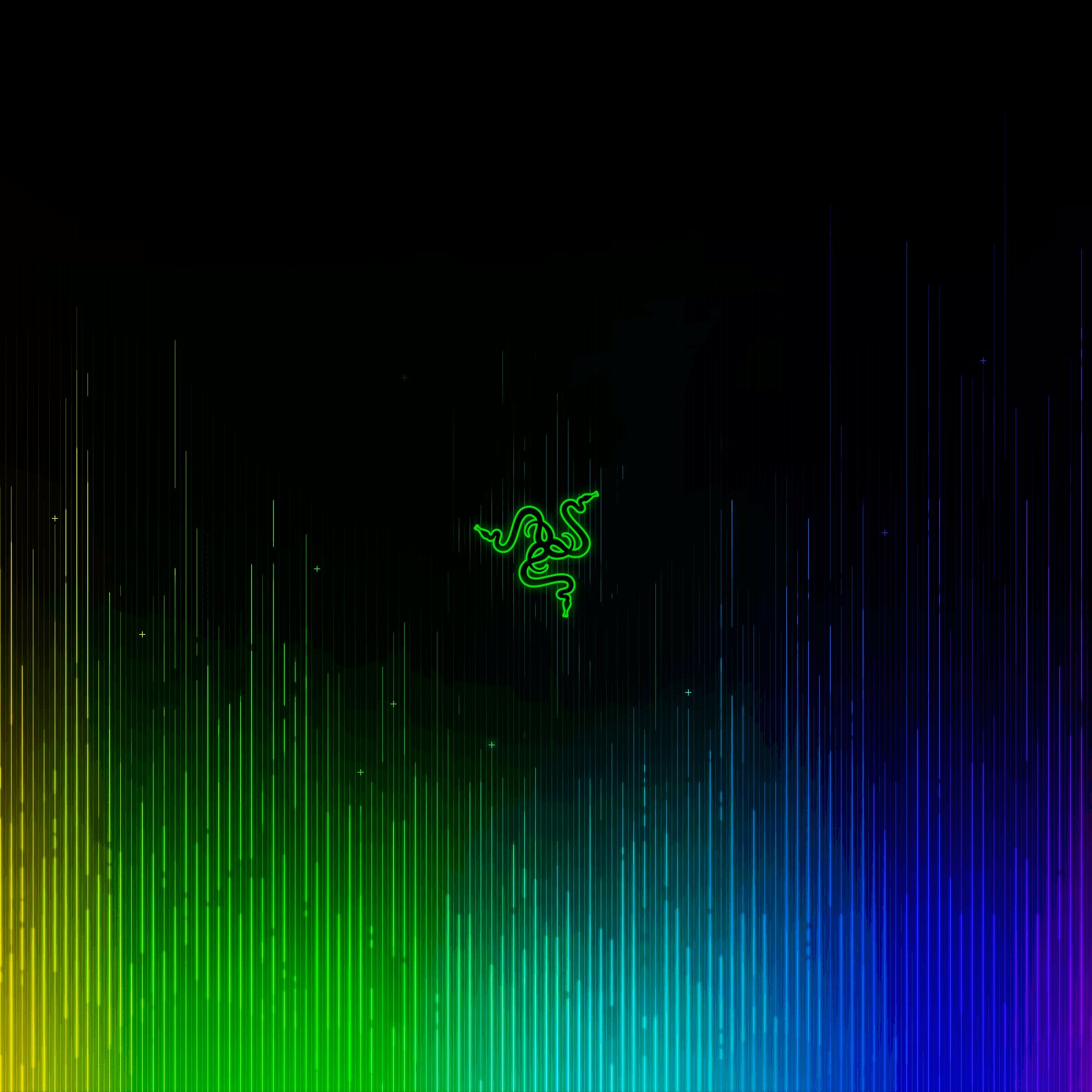 Ethernetcable5's profile picture. 