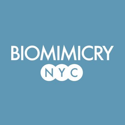 Innovation inspired + mentored by nature | Building a community of #biomimicry practice | What if #NYC functioned like the #regenerative ecosystem next door?
