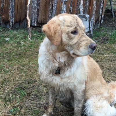 Canadiandad0304's profile picture. 