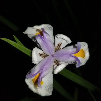 1deanxcas1's profile picture. 