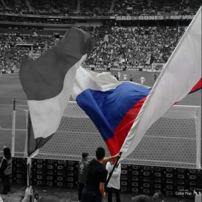 toto_lyon's profile picture. ⚜🇫🇷