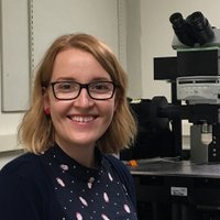 Kate Parham (@kateaparham) 's Twitter Profile