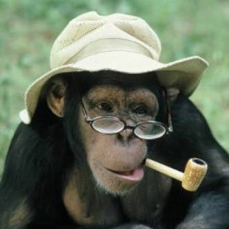 知性が無い鍵アカウントからの回帰を目指すために作ったアカウント。猿から人間に戻れるのであろうか。