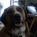 PaulBurroughs14 - @PaulBurroughs14 - Twitter