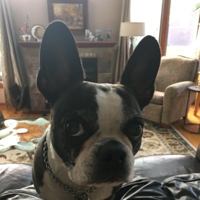 roger_penrod's profile picture. Nobody wins unless everybody wins.