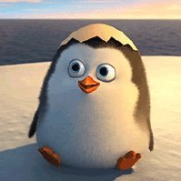 jassiel3491's profile picture. :)