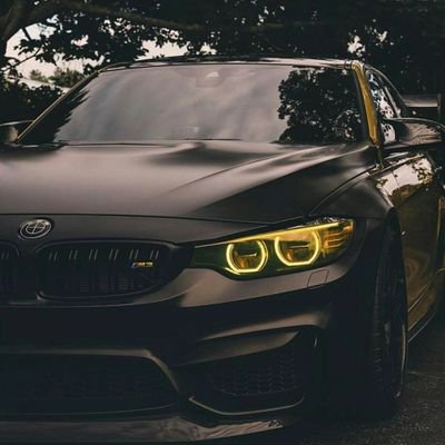 Huge sports fan
Love my music and playing video games I am a cool guy with an eye for fasion
Love my friends and family
Love my Cars and 💰