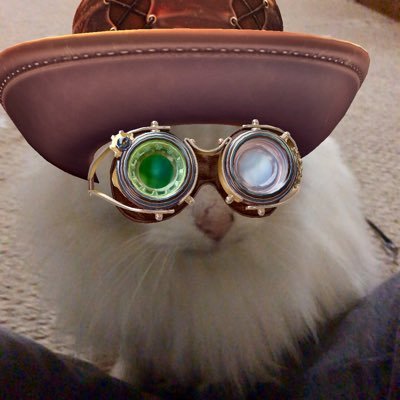 JulieJulesGS's profile picture. Fabric art. Horticulture. Mom of several cats, chihuahua, & young human. |🏳️‍🌈LGBTQ+ ally🏳️‍⚧️| she/her