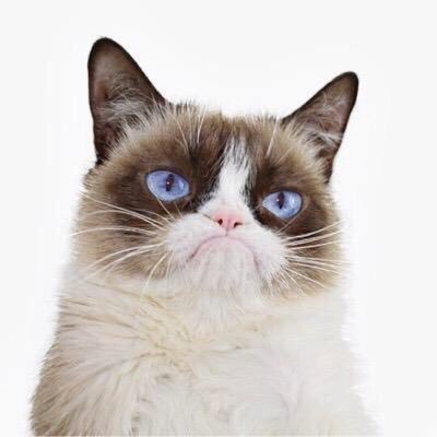 I used to post about malware research and threat intel. Now I just post about cats and potato.
🥔
@danielgallagher@infosec.exchange