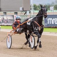 Josh Gallagher (@joshgal46565388) 's Twitter Profile