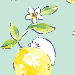 檸檬🍋さんのプロフィール画像