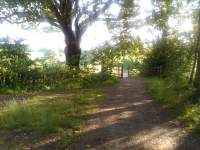 GreenScreenFood's profile picture. LAUNCH EVENT AT @BrixtonVeganMkt 8TH JULY! Green Screen offers healthy menus of nutritious 100% #veganfood for #Film #TV & #MusicVideo shoots & #SpecialEvents!