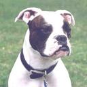 aubrey macmillan - @aubo5 - Twitter