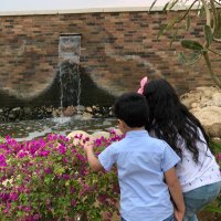 AFNAN .. 🍃🕊 (@ano_f) 's Twitter Profile Photo AFNAN .. 🍃🕊 (@ano_f) 's Twitter Profile Photo