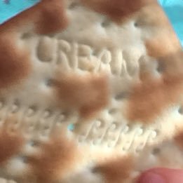 brianjames0's profile picture. 