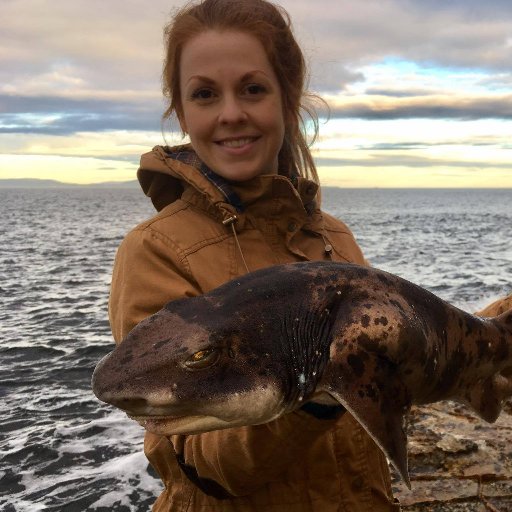 Research technician at CSIRO Australian National Fish Collection. Interests in fish biology, fisheries management and fish taxonomy.