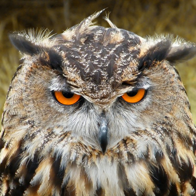 RIGamingEvents's profile picture. Gaming Event Community